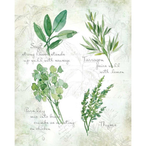 Fresh Herbs II White Modern Wood Framed Art Print by Robinson, Carol
