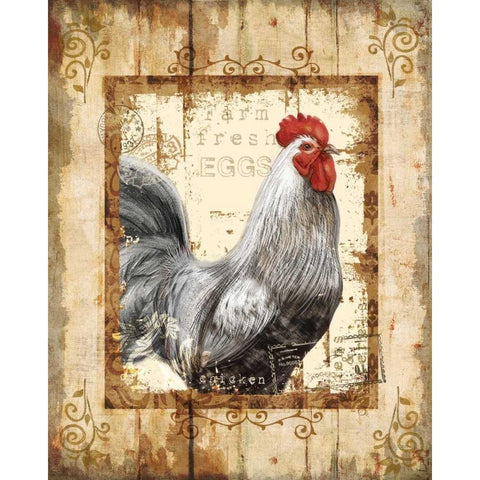 Farm Fresh Rooster White Modern Wood Framed Art Print by Knutsen, Conrad
