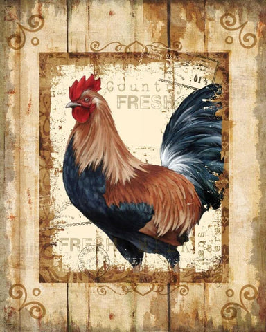 Country Fresh Black Ornate Wood Framed Art Print with Double Matting by Knutsen, Conrad