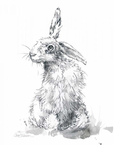 Garden Hare II White Modern Wood Framed Art Print with Double Matting by Robinson, Carol