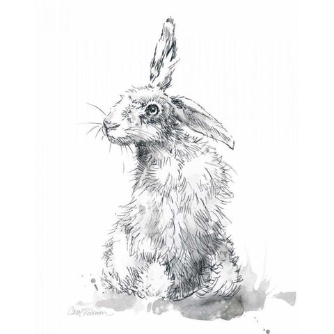 Garden Hare II Black Modern Wood Framed Art Print with Double Matting by Robinson, Carol