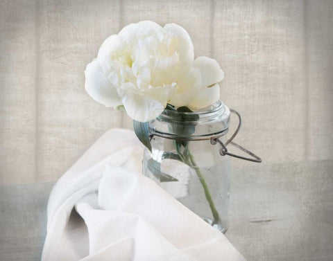 Mason Jar Bloom I Black Ornate Wood Framed Art Print with Double Matting by Delimont, Danita