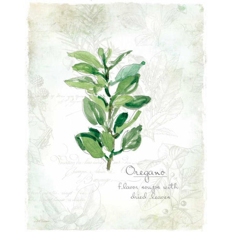 Fresh Oregano White Modern Wood Framed Art Print by Robinson, Carol