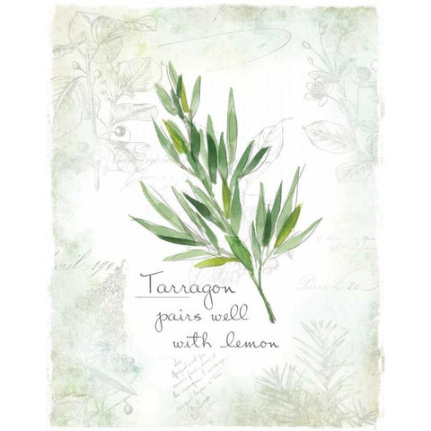 Fresh Tarragon White Modern Wood Framed Art Print by Robinson, Carol