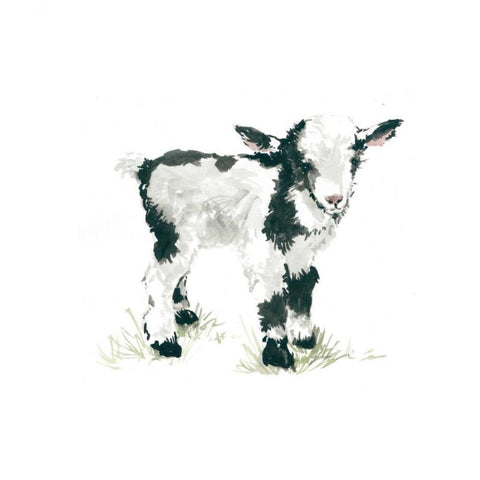 Baby Goat White Modern Wood Framed Art Print by Robinson, Carol