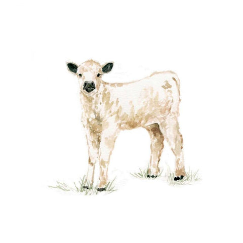 Baby Calf White Modern Wood Framed Art Print with Double Matting by Robinson, Carol