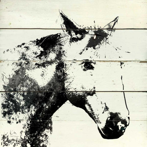 Barn Shadow White Modern Wood Framed Art Print by Robinson, Carol