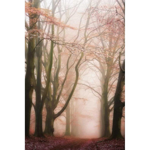 Pink Avenue Black Modern Wood Framed Art Print by Van de Goor, Lars