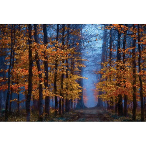 The Path of Gold Ornate Wood Framed Art Print with Double Matting by Van de Goor, Lars