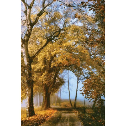 The Road to You White Modern Wood Framed Art Print by Van de Goor, Lars