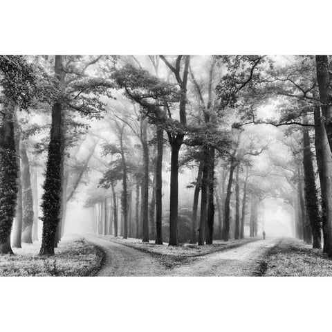 Turning Left Black Modern Wood Framed Art Print by Van de Goor, Lars
