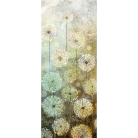 Make A Wish II Black Modern Wood Framed Art Print by Knutsen, Conrad
