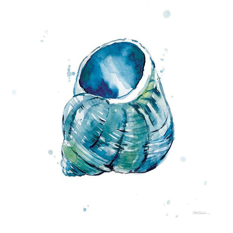 Blue Shell Soothe White Modern Wood Framed Art Print with Double Matting by Robinson, Carol