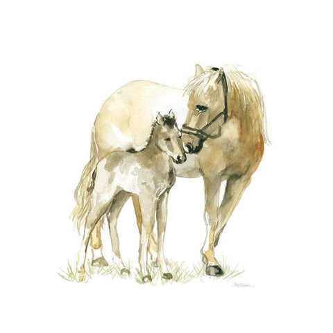 Horse and Colt White Modern Wood Framed Art Print by Robinson, Carol