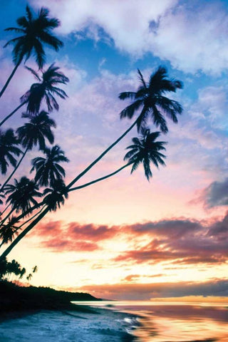 Molokai Palms At Black Ornate Wood Framed Art Print with Double Matting by Delimont, Danita