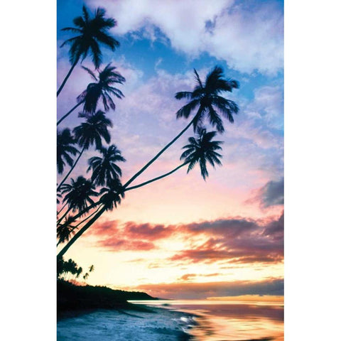 Molokai Palms At White Modern Wood Framed Art Print by Delimont, Danita