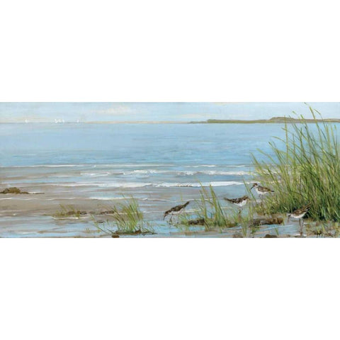 Sandpiper Beach Black Modern Wood Framed Art Print by Swatland, Sally