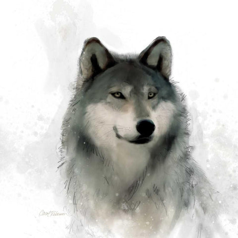 Rainsoft Wolf White Modern Wood Framed Art Print by Robinson, Carol