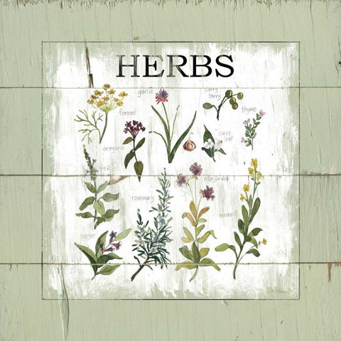 Shiplap Herbs Black Ornate Wood Framed Art Print with Double Matting by Robinson, Carol