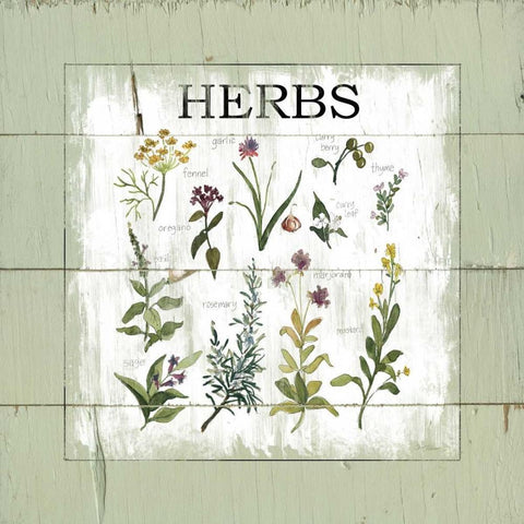 Shiplap Herbs Black Modern Wood Framed Art Print with Double Matting by Robinson, Carol