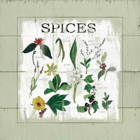 Shiplap Spices White Modern Wood Framed Art Print by Robinson, Carol