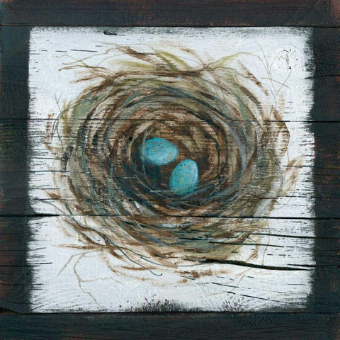 Stained Nest White Modern Wood Framed Art Print with Double Matting by Robinson, Carol