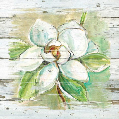 Country Magnolia White Modern Wood Framed Art Print by Robinson, Carol