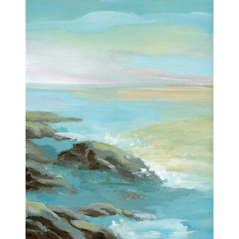 Rocky Shore Black Modern Wood Framed Art Print with Double Matting by Nan