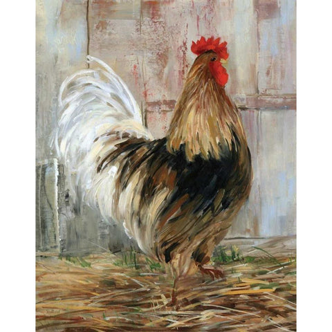 Farmhouse Rooster Black Modern Wood Framed Art Print with Double Matting by Swatland, Sally