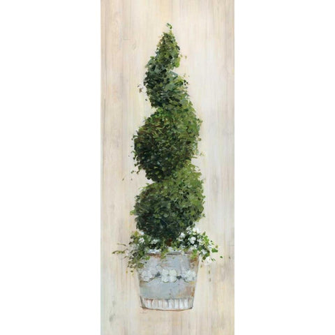 Spiral Topiary White Modern Wood Framed Art Print by Swatland, Sally