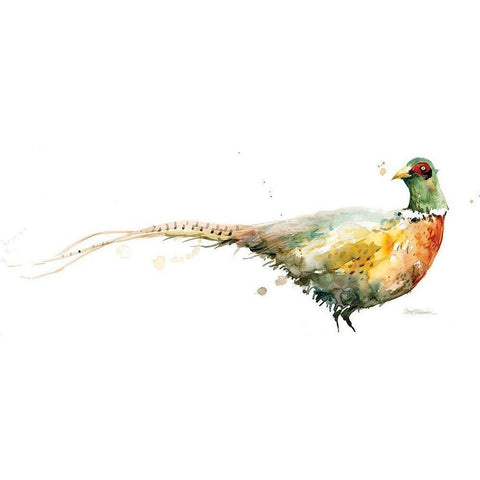 Harvest Pheasant White Modern Wood Framed Art Print by Robinson, Carol