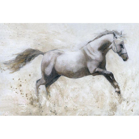 Gallop Black Modern Wood Framed Art Print with Double Matting by Robinson, Carol