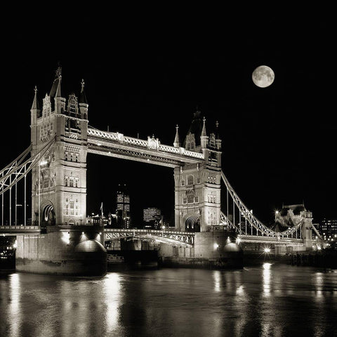 Tower Bridge Black Modern Wood Framed Art Print with Double Matting by Delimont, Danita