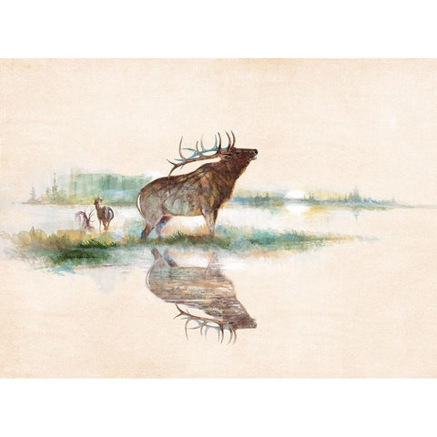 Misty Elk White Modern Wood Framed Art Print by Manning, Ruane