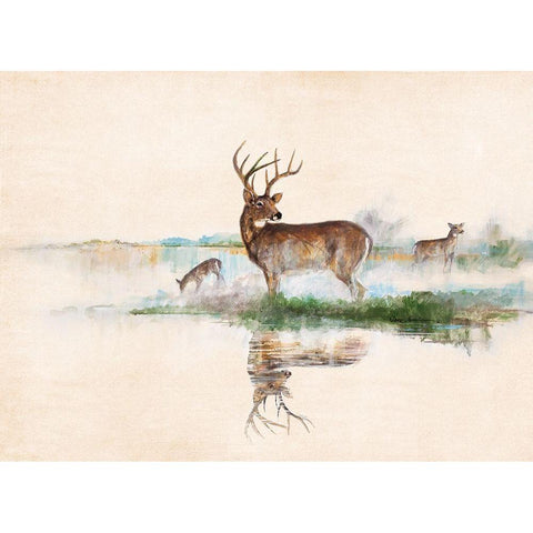 Misty Deer White Modern Wood Framed Art Print by Manning, Ruane