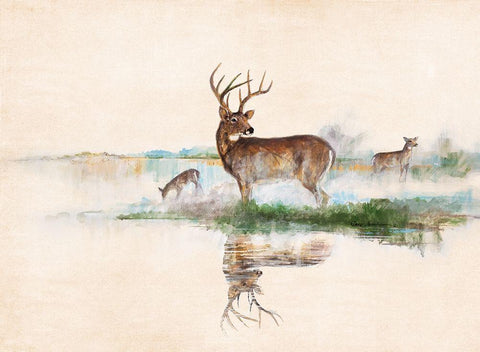 Misty Deer White Modern Wood Framed Art Print with Double Matting by Manning, Ruane