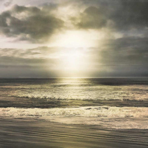 Suns Grace White Modern Wood Framed Art Print by Calascibetta, Mike