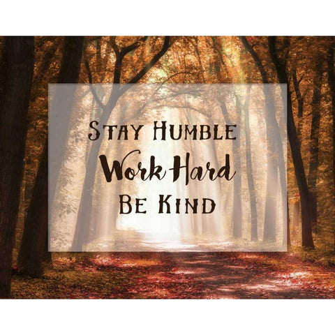Stay Humble White Modern Wood Framed Art Print by Van de Goor, Lars