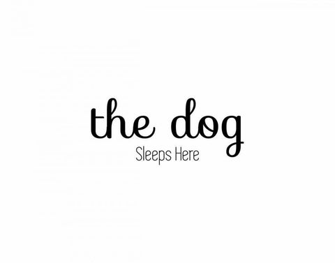 The Dog Sleeps White Modern Wood Framed Art Print with Double Matting by CAD Designs