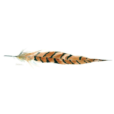 Tail Feather I White Modern Wood Framed Art Print by Robinson, Carol