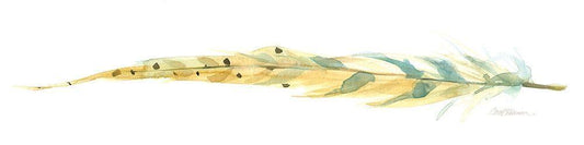 Image Only