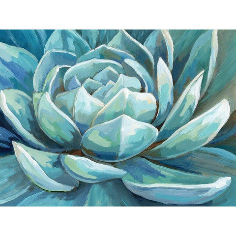 Cerulean Succulent Black Modern Wood Framed Art Print with Double Matting by Nan