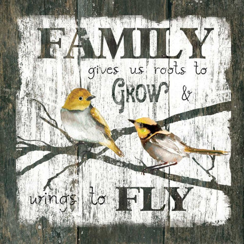 Family Wings White Modern Wood Framed Art Print with Double Matting by Robinson, Carol