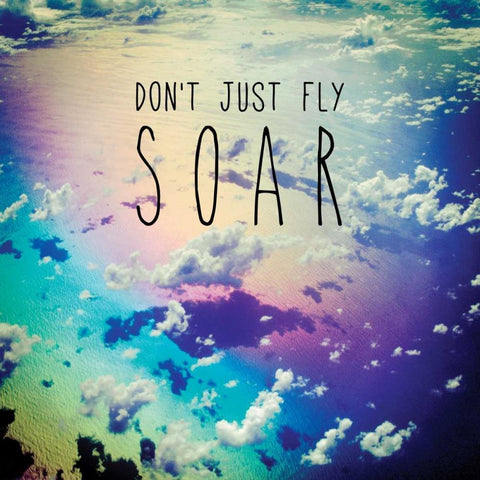 Soar White Modern Wood Framed Art Print by Delimont, Danita