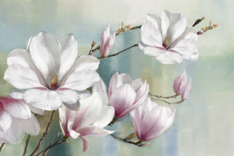 Magnolia Blooms White Modern Wood Framed Art Print with Double Matting by Daniels, Rogier