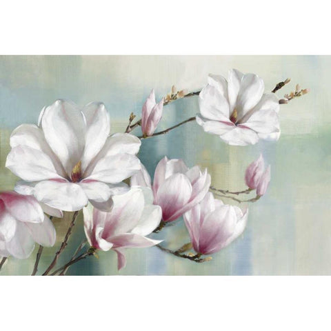 Magnolia Blooms Black Modern Wood Framed Art Print by Daniels, Rogier