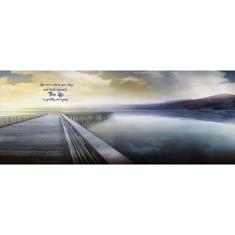 This Life White Modern Wood Framed Art Print by Calascibetta, Mike