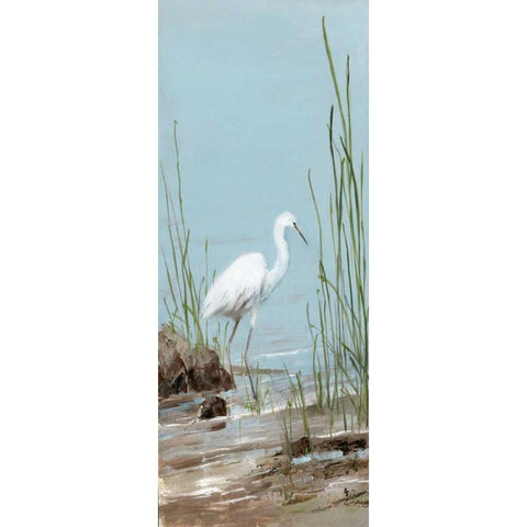 Island Egret I Black Modern Wood Framed Art Print with Double Matting by Swatland, Sally