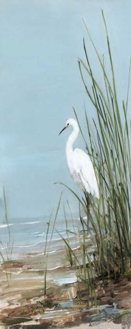 Island Egret II Black Ornate Wood Framed Art Print with Double Matting by Swatland, Sally