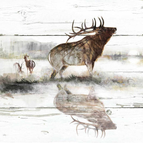 Rustic Misty Elk Black Modern Wood Framed Art Print with Double Matting by Manning, Ruane
